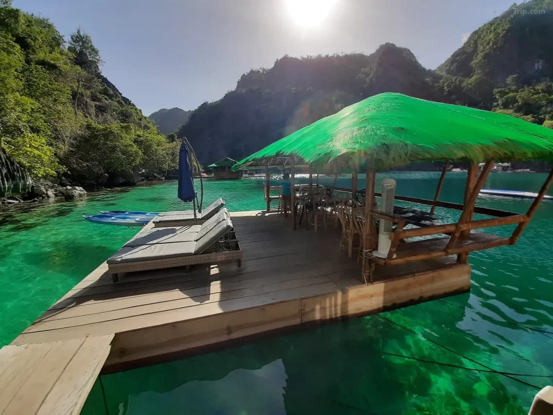 EVENING — Dinner Under Every Star